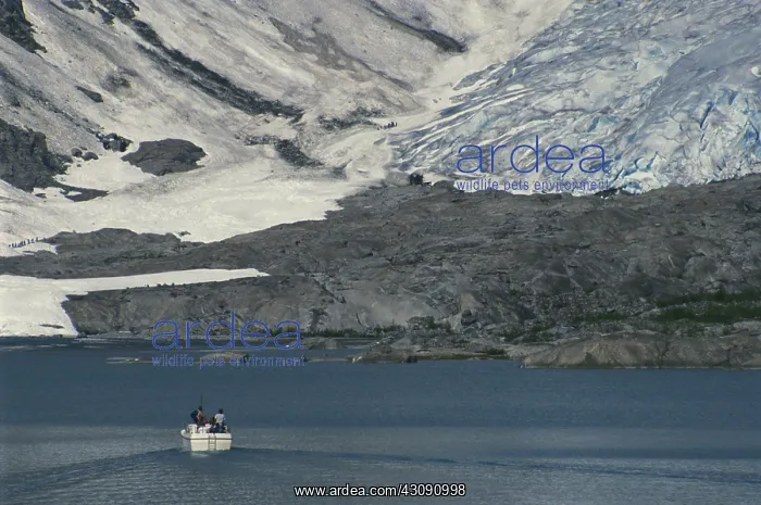 : Nigard Glacier, Norway : Nigard Glacier, Norway