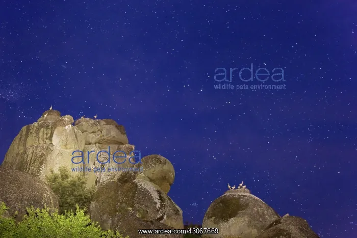 : The Night. Los Barruecos, Extremadura. Spain : The Night. Los Barruecos, Extremadura. Spain