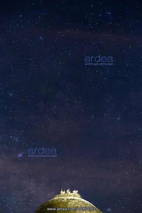  : The Night. Los Barruecos, Extremadura. Spain