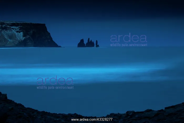 : Night Ocean seen from a concave rock, Vik, Iceland : Night Ocean seen from a concave rock, Vik, Iceland