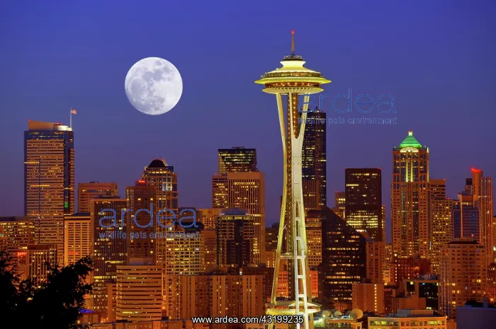 : Night scene, skyline of the Financial District in : Night scene, skyline of the Financial District in