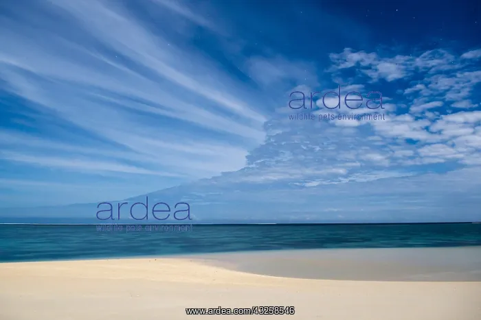 : Night shot under the full moon. T&, x9ba9;a islet : Night shot under the full moon. T&, x9ba9;a islet