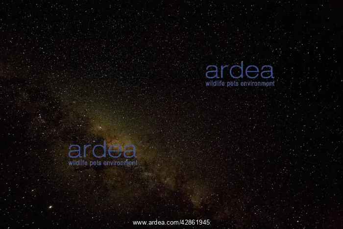 : The night sky, with the Milky Way visible, seen : The night sky, with the Milky Way visible, seen