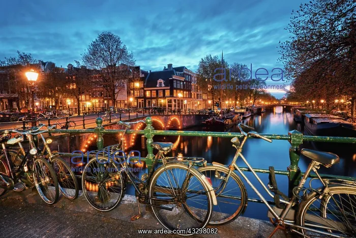 : Night view of Amterdam cityscape with canal, bridge : Night view of Amterdam cityscape with canal, bridge