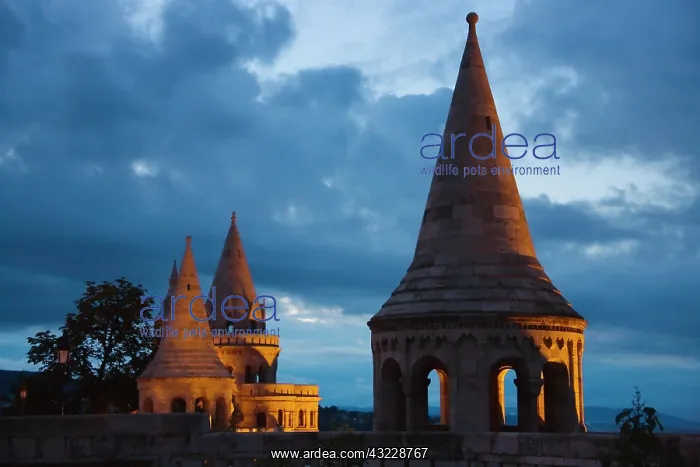 : Night view of Fisherman's Bastion, Castle : Night view of Fisherman's Bastion, Castle