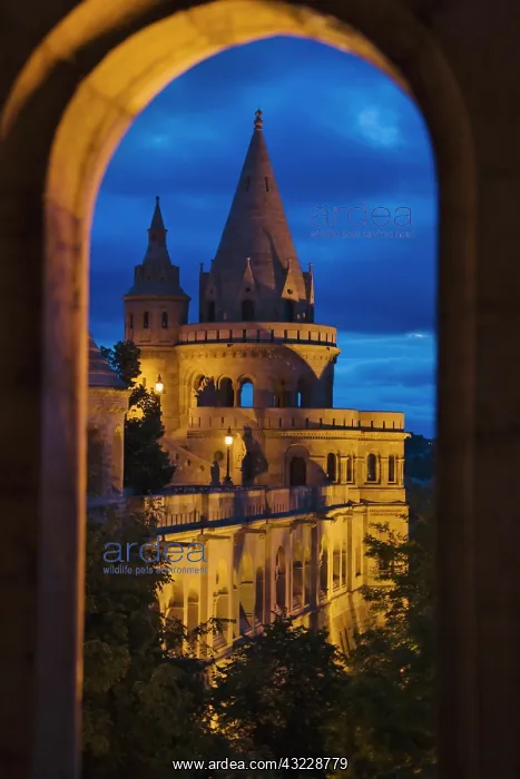 : Night view of Fisherman's Bastion, Castle : Night view of Fisherman's Bastion, Castle