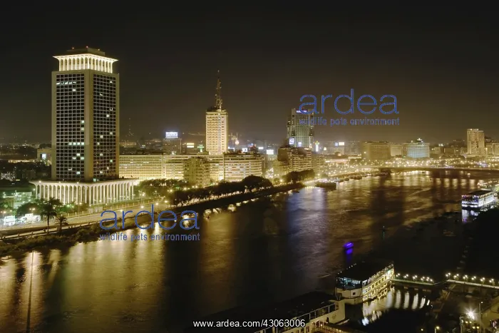 : Night view of the Nile River passing through : Night view of the Nile River passing through