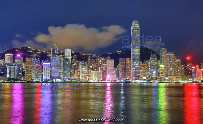 : Night view of Victoria Harbour and Skyline with lights, Hong : Night view of Victoria Harbour and Skyline with lights, Hong