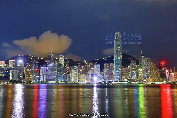 : Night view of Victoria Harbour and Skyline with lights, Hong : Night view of Victoria Harbour and Skyline with lights, Hong