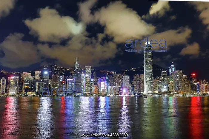: Night view of Victoria Harbour and Skyline with lights, Hong : Night view of Victoria Harbour and Skyline with lights, Hong
