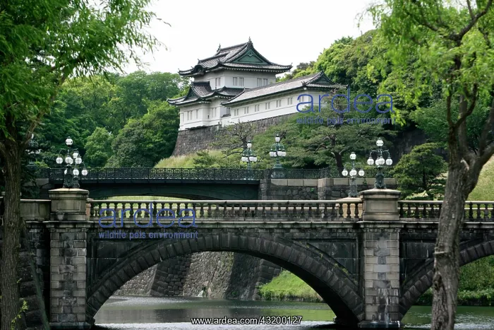 : Niju Bridge, Imperial Palace, Tokyo, Japan, Asia : Niju Bridge, Imperial Palace, Tokyo, Japan, Asia