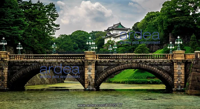 : Nijubashi Bridge, Tokyo Imperial Palace at the back : Nijubashi Bridge, Tokyo Imperial Palace at the back