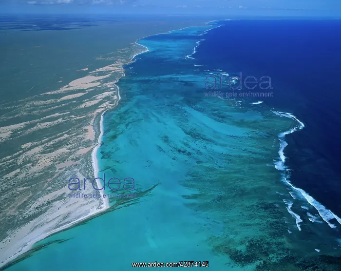  : Ningaloo Reef aerial