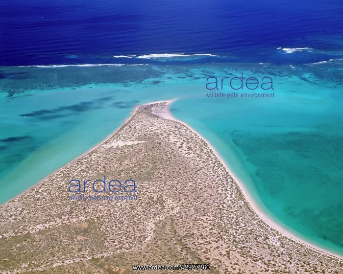 : Ningaloo Reef - Ningaloo Marine Park : Ningaloo Reef - Ningaloo Marine Park
