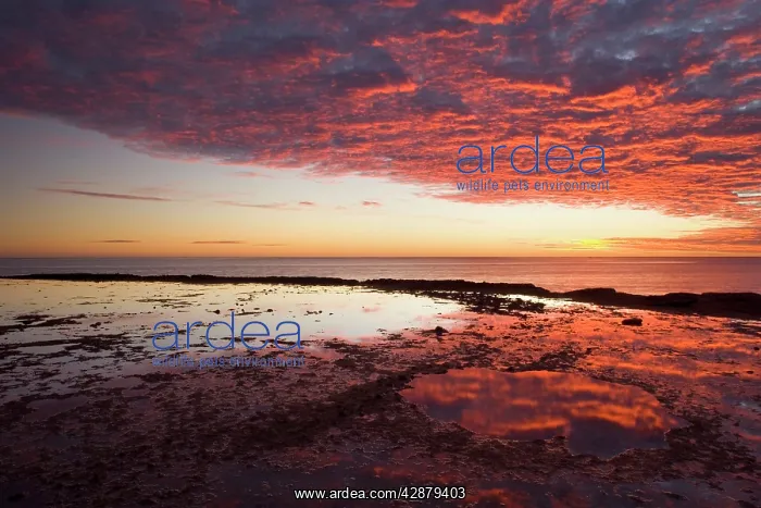  : Ningaloo sunset - gorgous sunset over Ningaloo