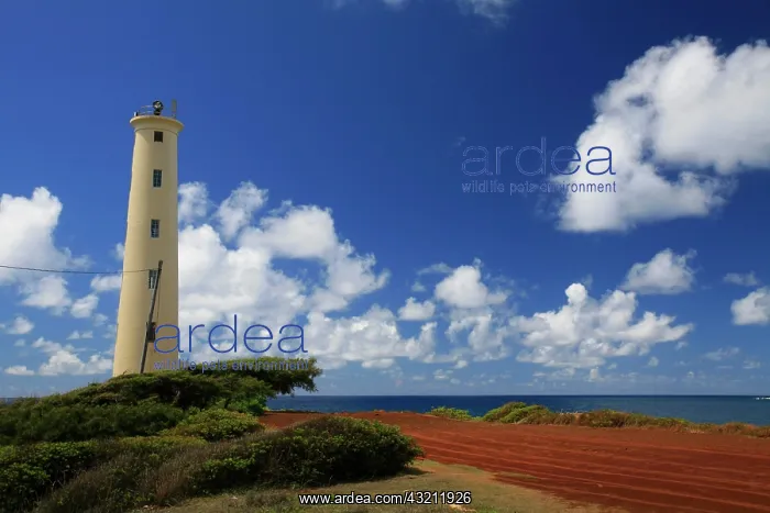  : Ninini Point and lighthouse, Lihue, Kaua'i Island