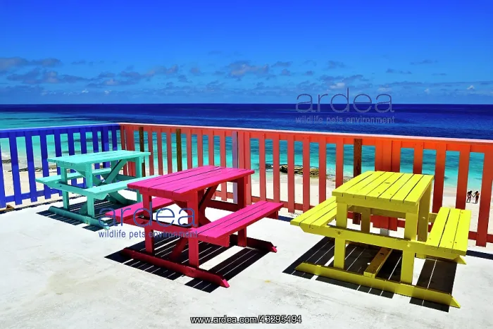 : Nipper's Beach Bar and Grill, Guana Cay, Abacos : Nipper's Beach Bar and Grill, Guana Cay, Abacos