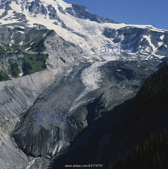 : Nisqually Glacier : Nisqually Glacier