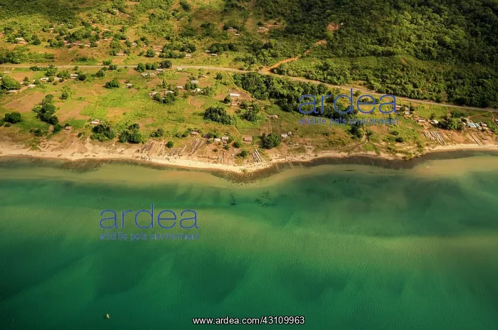 : Nkhata Bay district, Northern Region, Lake Malawi : Nkhata Bay district, Northern Region, Lake Malawi