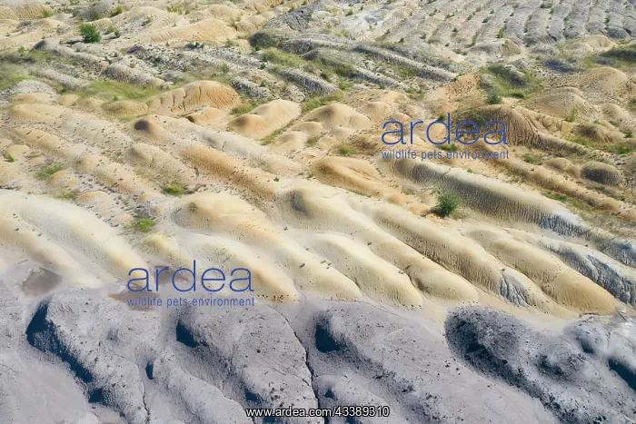 : Nochten opencast mine : Nochten opencast mine