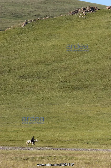 : Nomadic horseman on a road near lake Son Kul Kyrgyzstan : Nomadic horseman on a road near lake Son Kul Kyrgyzstan