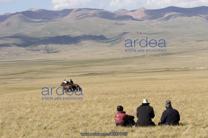: Nomadic horsemen playing in a meadow in Kyrgyzstan : Nomadic horsemen playing in a meadow in Kyrgyzstan