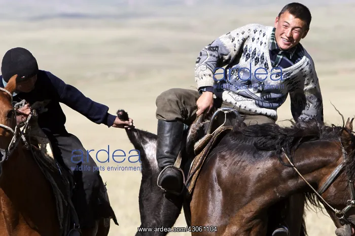 : Nomadic horsemen playing in a meadow in Kyrgyzstan : Nomadic horsemen playing in a meadow in Kyrgyzstan
