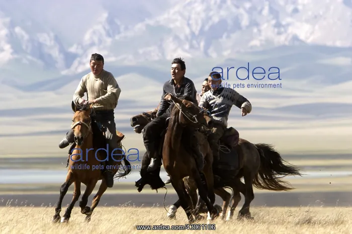 : Nomadic horsemen playing in a meadow in Kyrgyzstan : Nomadic horsemen playing in a meadow in Kyrgyzstan
