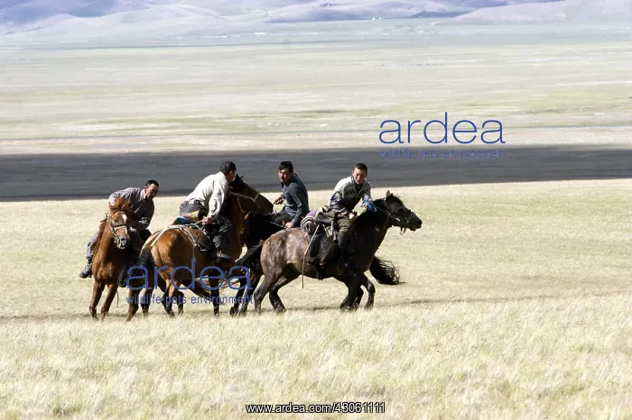 : Nomadic horsemen playing in a meadow in Kyrgyzstan : Nomadic horsemen playing in a meadow in Kyrgyzstan