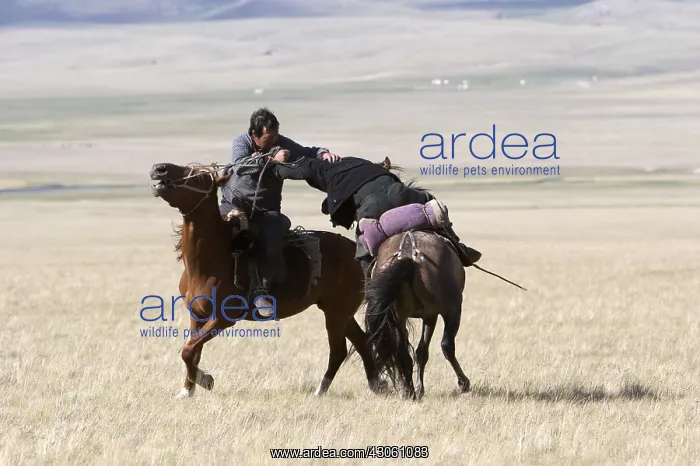 : Nomadic horsemen playing Ulach Taricht in Kyrgyzstan : Nomadic horsemen playing Ulach Taricht in Kyrgyzstan