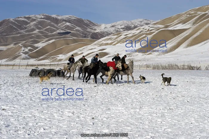 : Nomadic horsemen playing Ulach Taricht in Kyrgyzstan : Nomadic horsemen playing Ulach Taricht in Kyrgyzstan