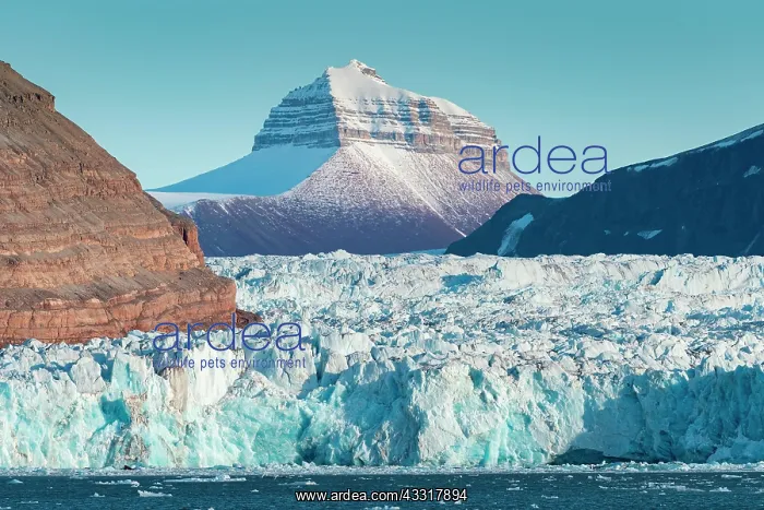 : Nora peak, Kronebreen, Kongsfjorden, Spitsbergen : Nora peak, Kronebreen, Kongsfjorden, Spitsbergen