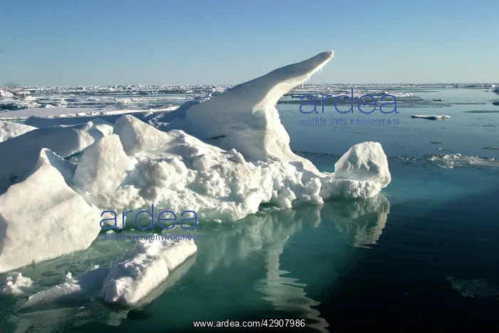  : Nord Svalbard - Spitzberg - Pack Ice
