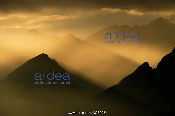 : Nordkette and Halltal at dusk, panoramic view from : Nordkette and Halltal at dusk, panoramic view from