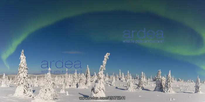 : Nordlicht Finnland : Nordlicht Finnland