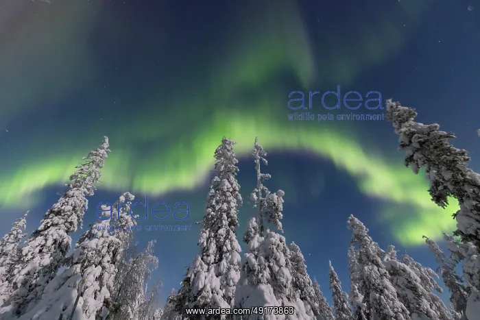 : Nordlicht Finnland : Nordlicht Finnland