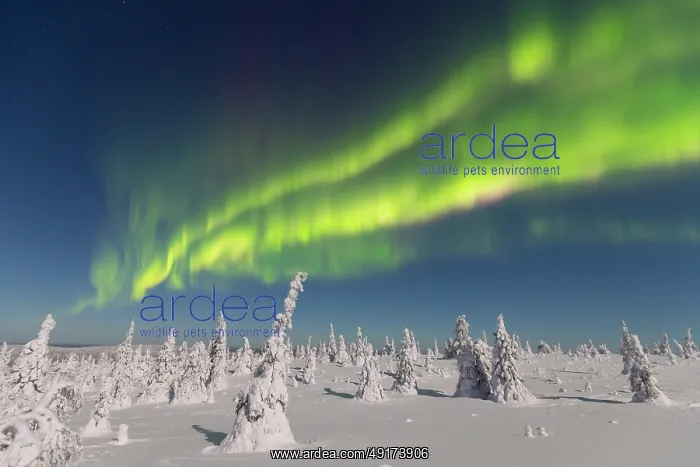 : Nordlicht Finnland : Nordlicht Finnland