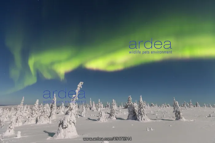 : Nordlicht Finnland : Nordlicht Finnland