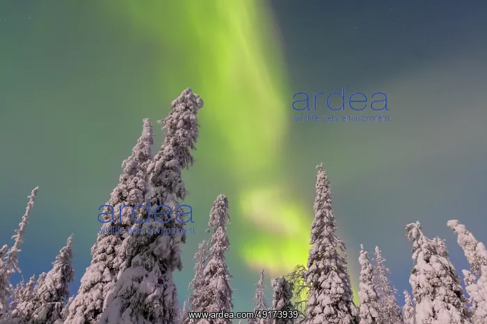 : Nordlicht Finnland : Nordlicht Finnland