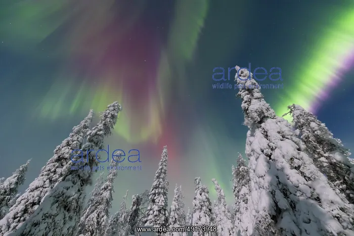 : Nordlicht Finnland : Nordlicht Finnland