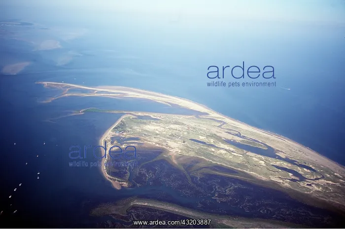 : NORFOLK - BLAKENEY Point, Nature Reserve. Aerial view : NORFOLK - BLAKENEY Point, Nature Reserve. Aerial view
