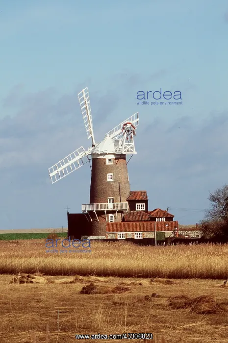 : NORFOLK - windmill at Cley : NORFOLK - windmill at Cley