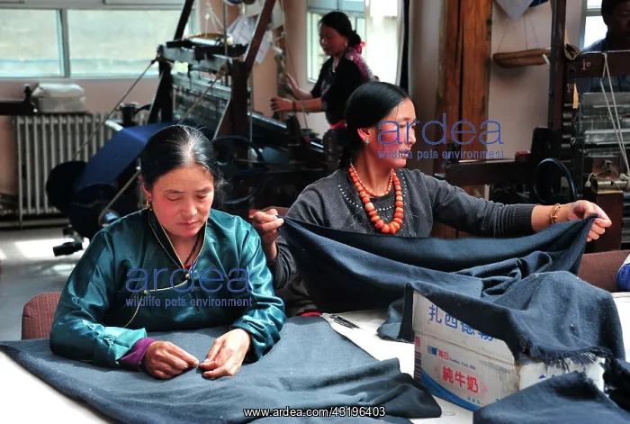 : Norlha has created a factory to transform the whool : Norlha has created a factory to transform the whool