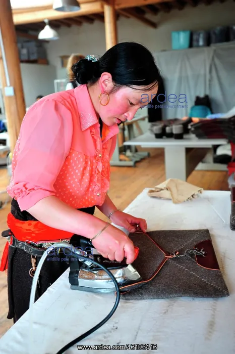 : Norlha has created a factory to transform the whool : Norlha has created a factory to transform the whool