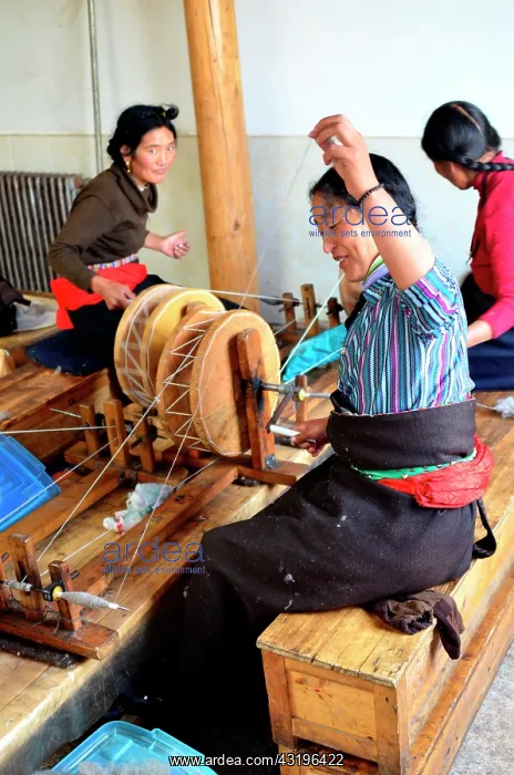 : Norlha has created a factory to transform the whool : Norlha has created a factory to transform the whool