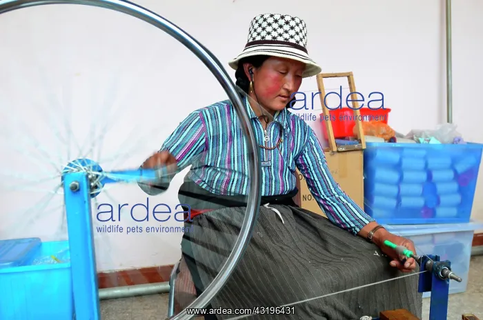 : Norlha has created a factory to transform the whool : Norlha has created a factory to transform the whool