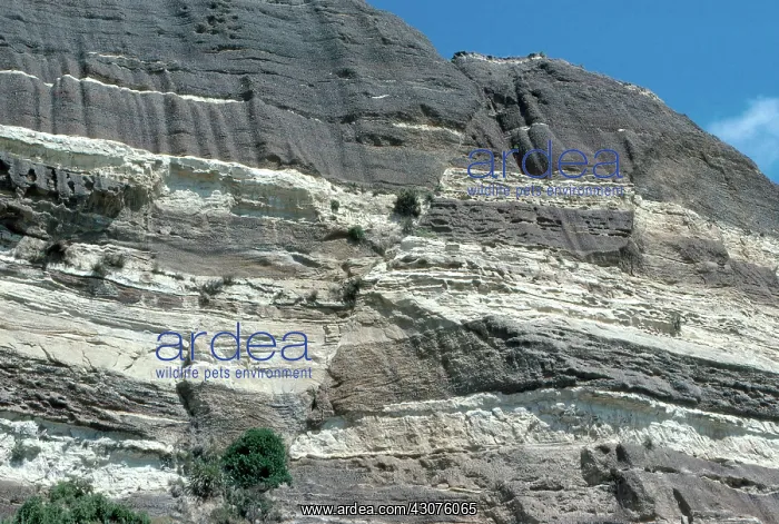 : Normal Fault : Normal Fault