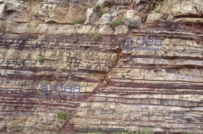 : Normal Fault : Normal Fault