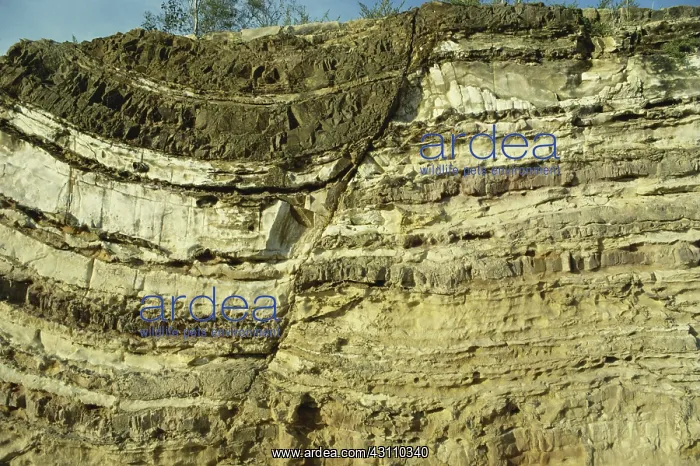  : Normal Fault