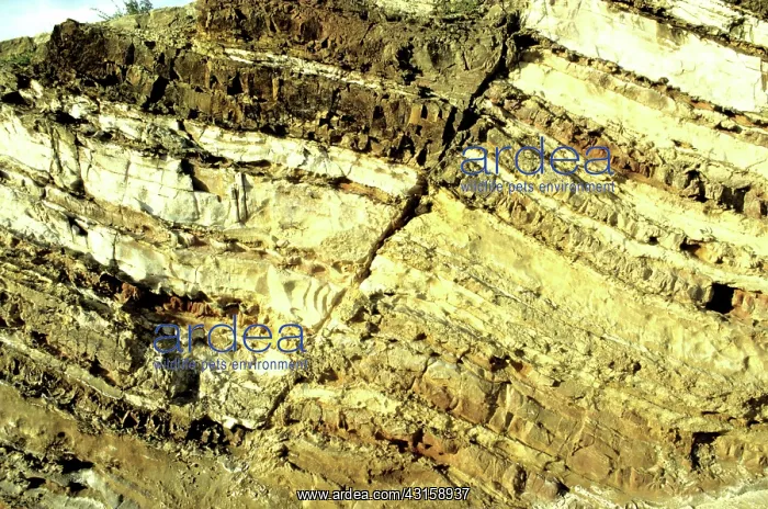 : Normal fault in sandstone, Australia : Normal fault in sandstone, Australia